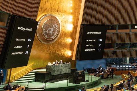Aus 141 Ländern kam ein "Ja" für die UN-Resolution, die ein Ende des russischen Angriffskrieges in der Ukraine fordert. Aus sieben Ländern kam ein "Nein" – unter anderem aus Mali. 