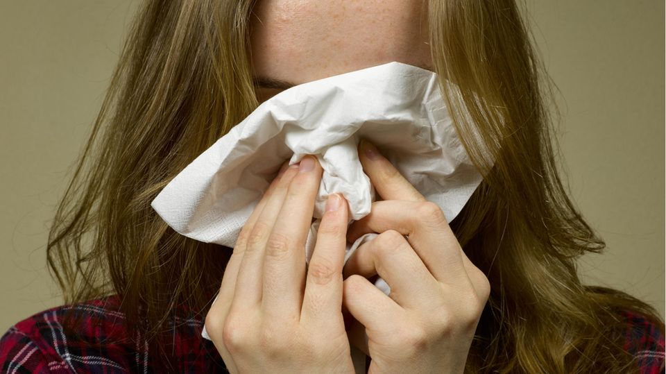 Stiftung Warentest: Diese Mittel sind am besten bei Heuschnupfen geeignet