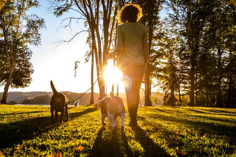 Spaziergänge in der Natur als Stimmungsaufheller