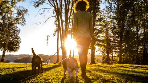 Spaziergänge in der Natur als Stimmungsaufheller