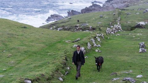 Colin Farrell und ein Esel gehen auf einer Wiese im Film "The Banshees of Inisherin"