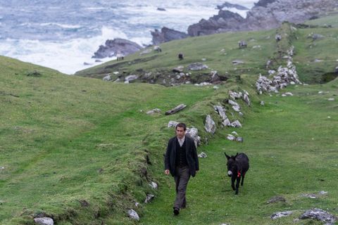 Colin Farrell und ein Esel gehen auf einer Wiese im Film "The Banshees of Inisherin"