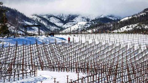 Verschneite Weinberge in den Arkenstone Vineyards in Angwin, Kalifornien.