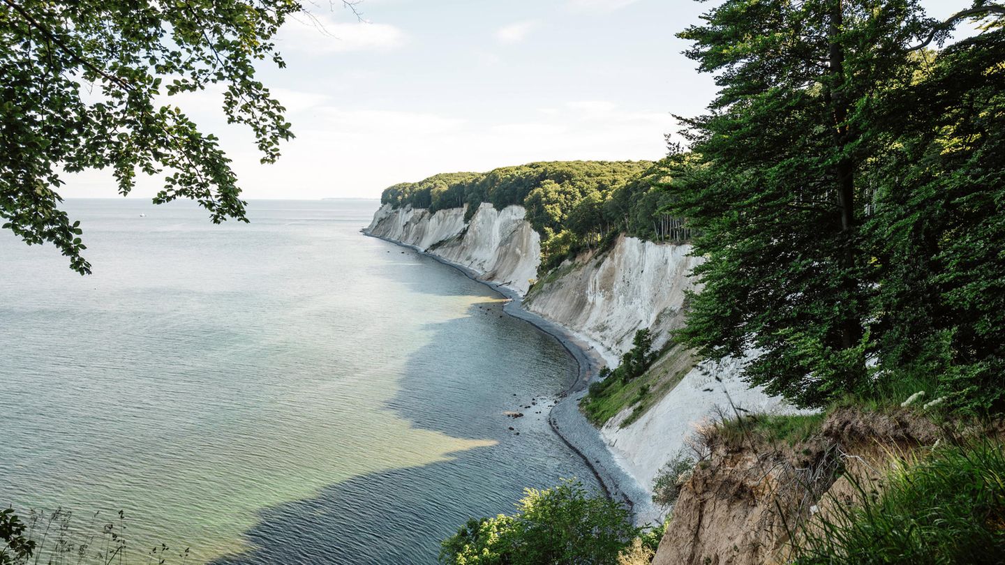 Kreidefelsen Rügen Kreidefelsen Rügen