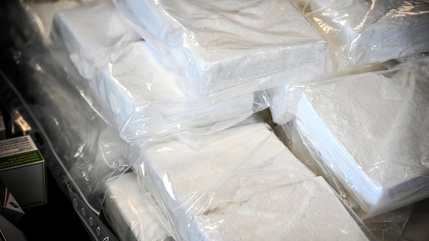Für Belgien bestimmt: Polizei in Ecuador entdeckt 8,8 Tonnen Kokain