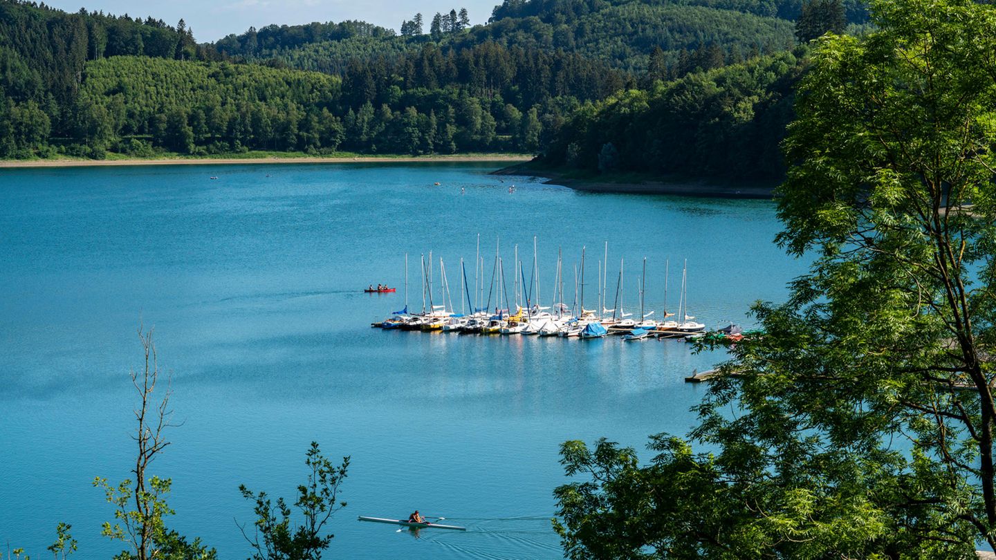 Hennesee Hennesee