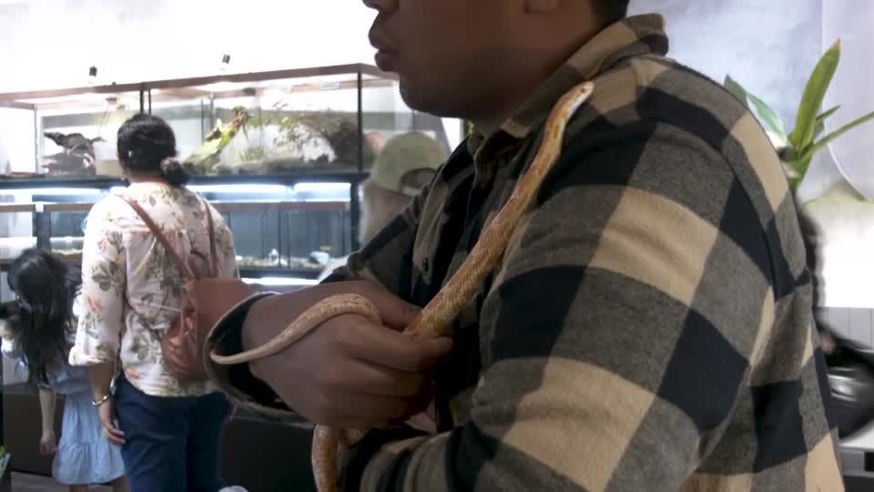 Video: Malaysia: Café und Streichelzoo der etwas anderen Art