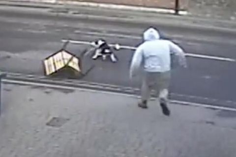 Spontane Flucht: Hund entkommt samt Bank seinem Herrchen