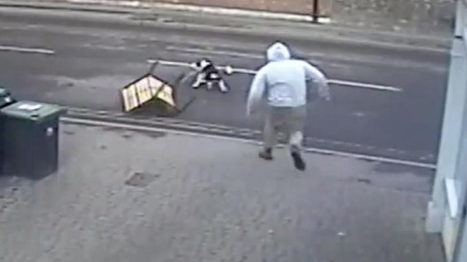Spontane Flucht: Hund entkommt samt Bank seinem Herrchen