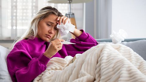 Q-Fieber: Frau ist erkrankt