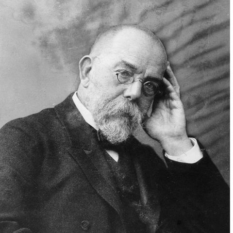 Robert Koch