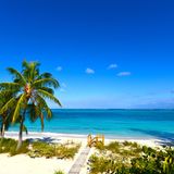 Südöstlich der Bahamas befindet sich eine Inselgruppe, auf der nahezu jeden Tag im Jahr Sonne scheint.  Die Turks- und Caicosinseln bieten dementsprechend zahlreiche sehenswerte Traumstrände und Tauchspots. Der beliebteste unter ihnen ist definitiv der Grace Bay Beach. Im vergangenen Jahr landete er doch glatt auf dem ersten Platz des Rankings. Ein bisschen abgerutscht, ist der weiße und weitläufige Sandstrand nach wie vor hoch im Kurs bei Besuchern. 
