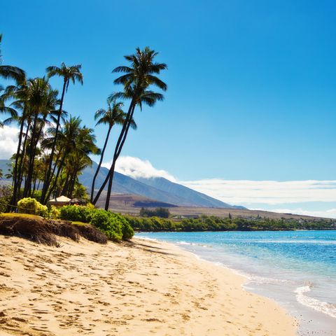 Platz 10: Ka’anapali Beach, Hawaii Hawaii gilt ohnehin als echtes Paradies für alle Strandliebhaber. Kein Wunder also, dass es auch ein Strand der Inselgruppe in die Top Ten geschafft hat. Der Ka’anapali Beach im Norden der Insel Maui überzeugt die Besucher vor allem mit dem sauberen Sand, türkisblauem, glasklarem Wasser und den riesigen Palmen, die dem drei Kilometer langen Strand einen paradiesischen Flair verleihen.
