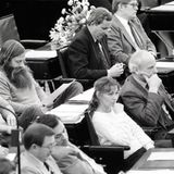 Grüne im Bundestag