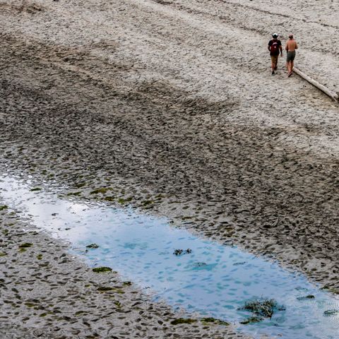 Dürre in Frankreich: Ein ausgetrocknetes Flussbett
