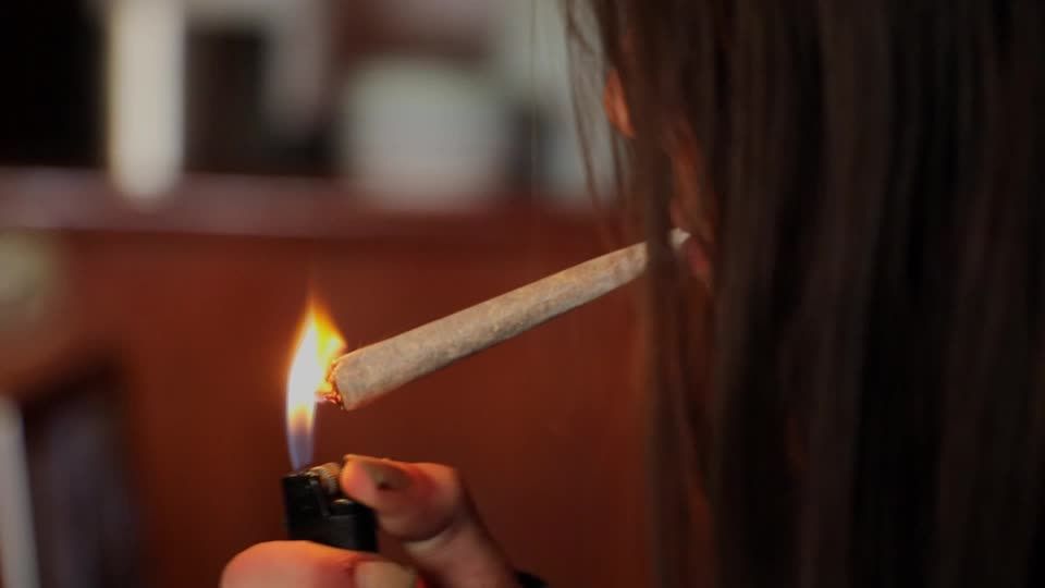 Video: Niederlande testen legalen Cannabisanbau