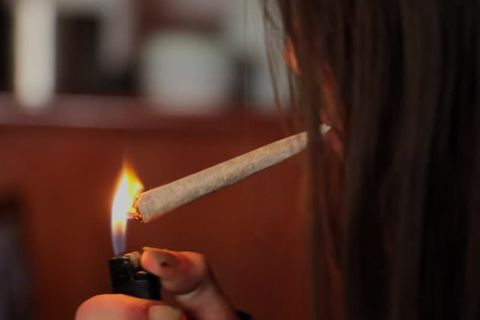 Video: Niederlande testen legalen Cannabisanbau