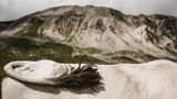 Der Rücken einer Kuh vor der Gebirgskulisse der Hochebene von Campo Imperatore in Italien