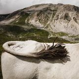Der Rücken einer Kuh vor der Gebirgskulisse der Hochebene von Campo Imperatore in Italien