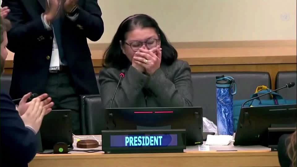 Video: Einigung auf UN-Hochseeschutzabkommen: "Das Schiff hat das Ufer erreicht"