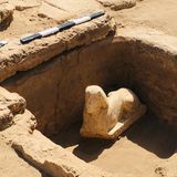 Sie scheint den Betrachter anzulächeln