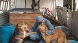 Iran: Eine Frau krault einen Hund am Kinn und küsst einen anderen auf den Kopf