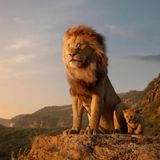 Der König der Löwen