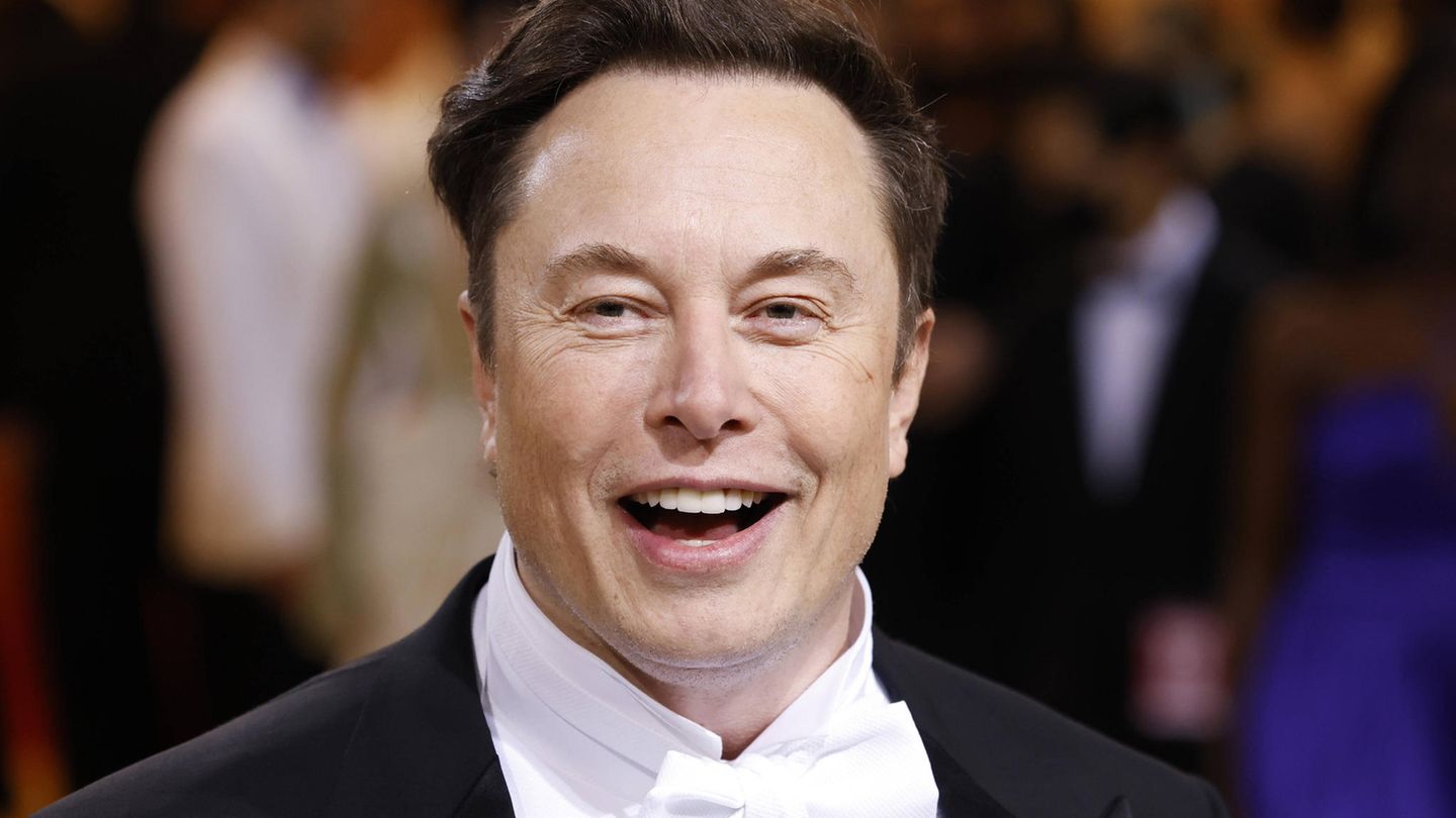 Twitter-Chef Elon Musk