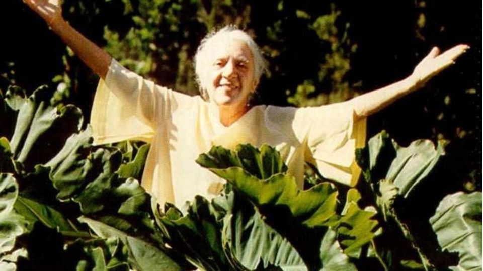 Indra Devi Yoga Inda Devi steht zwischen hohen Pflanzen