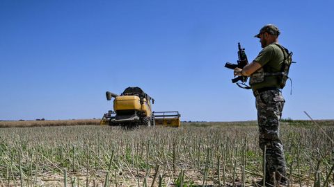 Ein Soldat steht während der Erntezeit im Sommer 2022 auf einem Feld