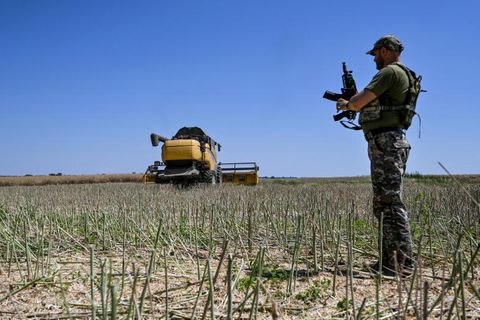Ein Soldat steht während der Erntezeit im Sommer 2022 auf einem Feld