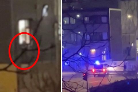 Hamburg: Gewalttat bei Zeugen Jehovas: Augenzeugenvideo zeigt mutmaßlichen Täter