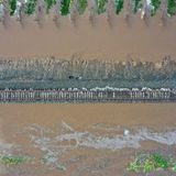 Kalifornien Unwetter