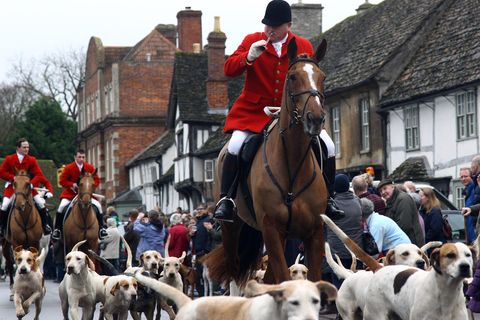 Fuchsjagd in Großbritannien: Einer der ältesten Klubs macht nun dicht.