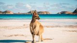 Platz 4: Australien Down Under wirbt mittlerweile aktiv damit, auch schwule, lesbische und bisexuelle Urlauber willkommen zu heißen. Kein Wunder also, dass der weit entfernte aber durchaus beliebte Kontinent auch im Ranking weit oben landet. Damit liegt Australien auf Platz vier.