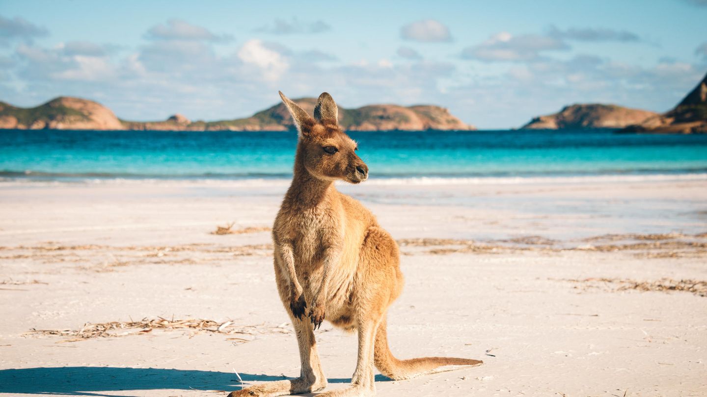 Platz 4: Australien Down Under wirbt mittlerweile aktiv damit, auch schwule, lesbische und bisexuelle Urlauber willkommen zu heißen. Kein Wunder also, dass der weit entfernte aber durchaus beliebte Kontinent auch im Ranking weit oben landet. Damit liegt Australien auf Platz vier.