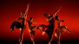 Tänzer proben eine Szene des Choreographen David Parsons