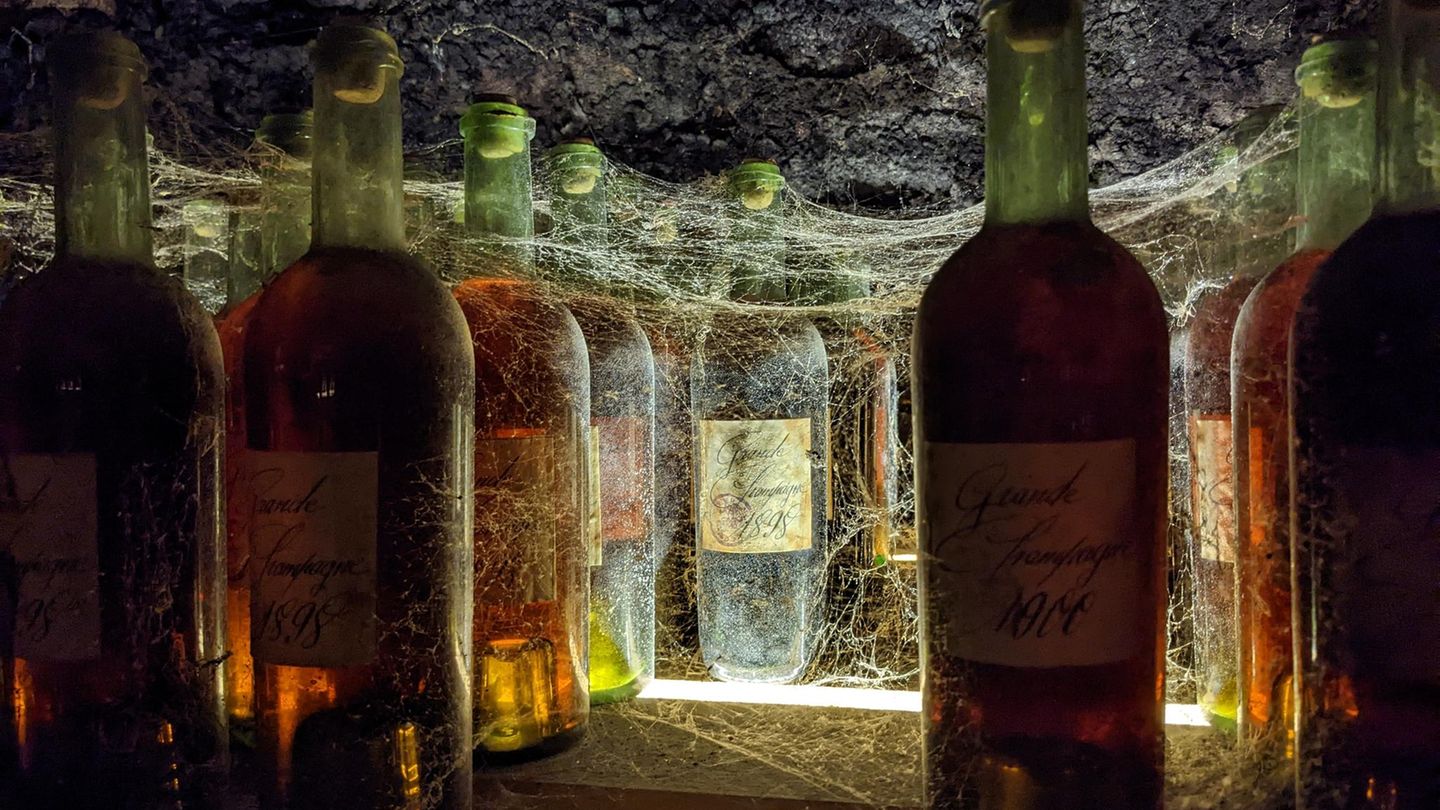 Alte Flaschen Armagnac Keller