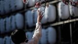 Zum Greifen nahe: Im Ueno Park in Tokio lockt die Kirschblüte viele Menschen an. 