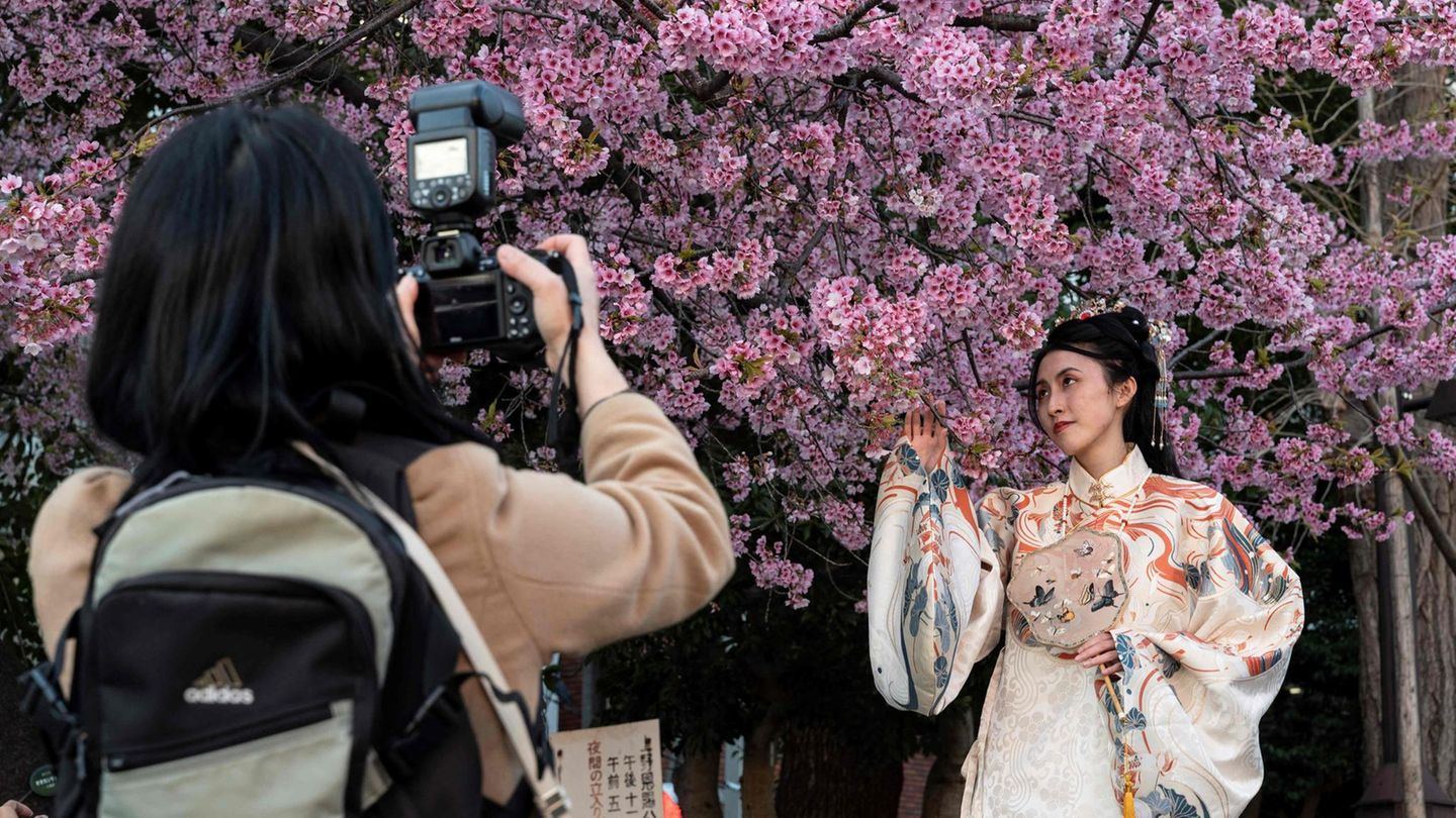 Eine Frau lässt sich vor der Kirschblüte fotografieren