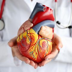 Kardiologie: Das sind empfehlenswerte Ärzte in Ihrer Region