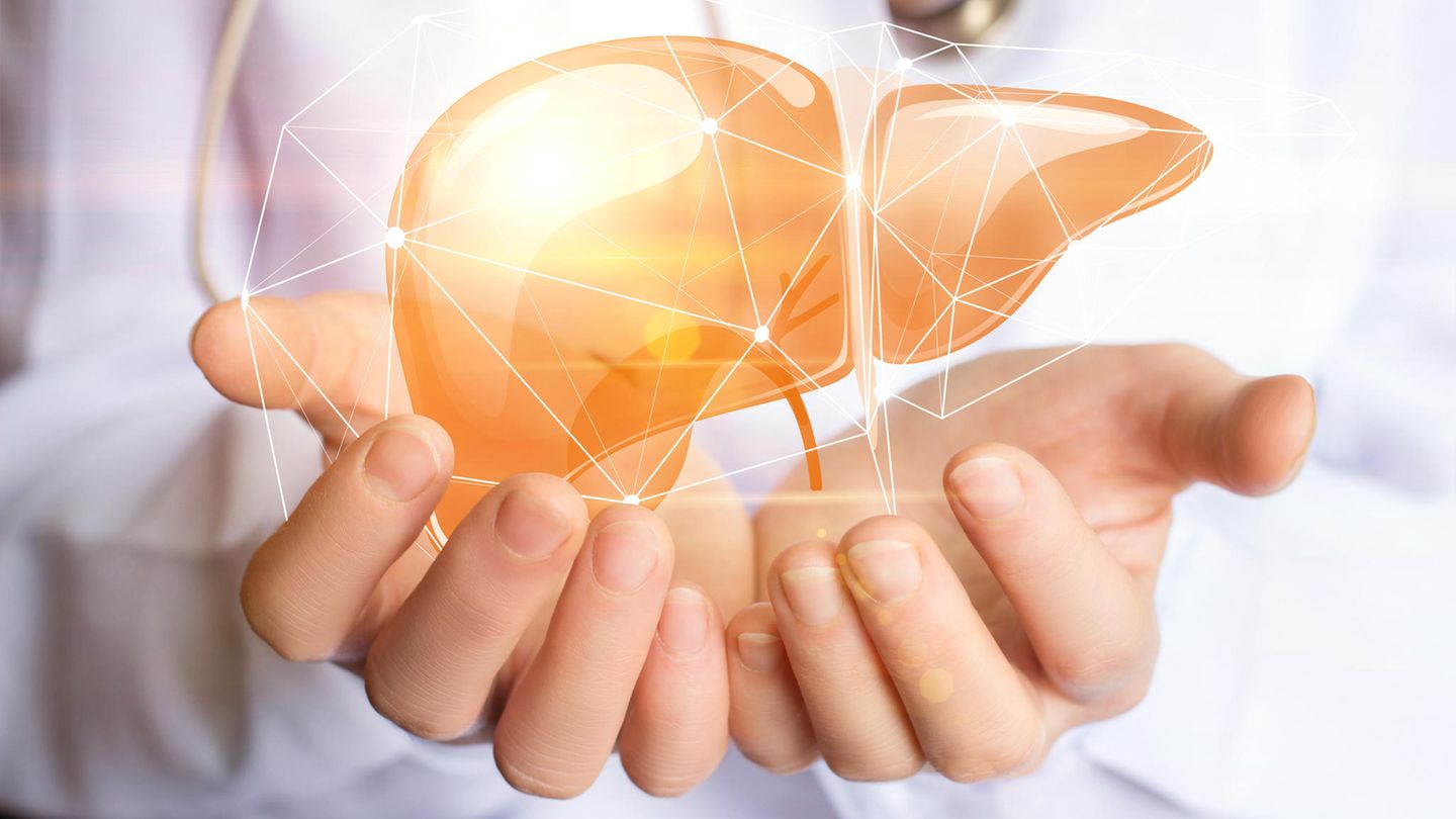 Leberspezialisten: Das sind empfehlenswerte Ärzte in Ihrer Region