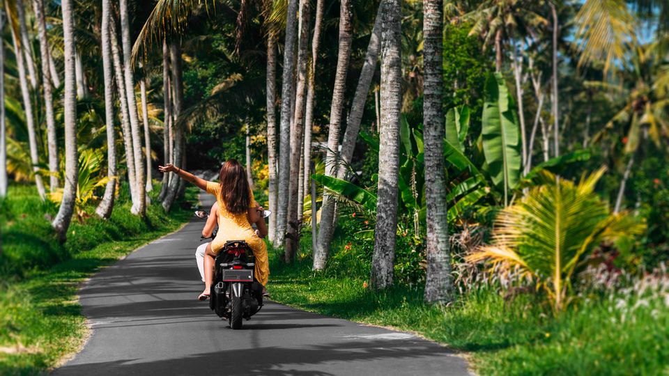 Bali gilt als eines der beliebtesten Fernreiseziele von Europäern. Leider verhalten die sich auf der indonesischen Insel nicht immer so, wie es sich gehört. Deshalb plant die Inselregierung laut einem "BBC"-Bericht nun, die Vermietung von Mopeds an Touristen zu verbieten. Der Grund sind etliche Regelverstöße von ausländischen Besuchern in den letzten Monaten. Dazu zählen Verkehrsverstöße – und das Rollerfahren ohne Oberbekleidung. Stattdessen sollen Urlauber in Zukunft Autos bei lokalen Anbietern mieten können, um die Insel zu erkunden. Der Vorschlag stößt bereits auf Kritik von Touristen und Einheimischen, da sie fürchten, der Tourismus würde darunter leiden. Die Regierung hält allerdings an ihrem Plan fest. Unklar ist aber noch, wann er umgesetzt werden soll. 