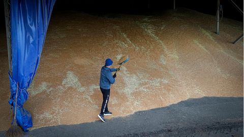 Getreideabkommen: Ein Mann in sportlicher Kleidung schaufelt Getreide auf einen Berg, der ihn bei weitem überragt