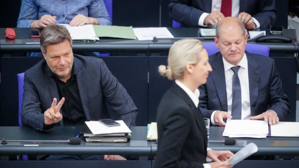 AfD-Vorsitzende Weidel geht an Wirtschaftsminister Habeck vorbei