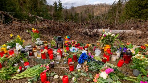 In der Nähe des Fundorts des Leichnams der zwölfjährigen Luise aus Freudenberg haben Trauernde Blumen niedergelegt