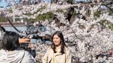 Tokio, Japan. Die Kirschblüte ist da! Und die eine oder andere nutzt das Naturspektakel für ein paar Schnappschüsse.