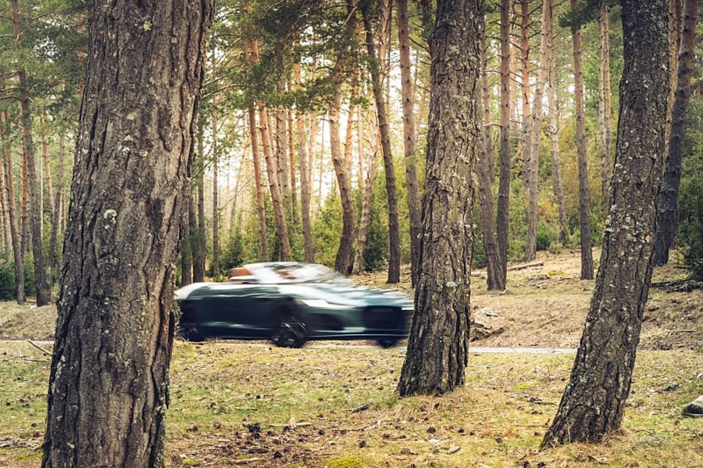 Jaguar F-Type 75 Cabrio