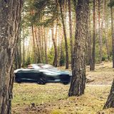 Jaguar F-Type 75 Cabrio