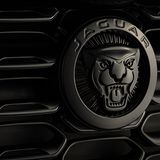 Jaguar F-Type 75 Cabrio